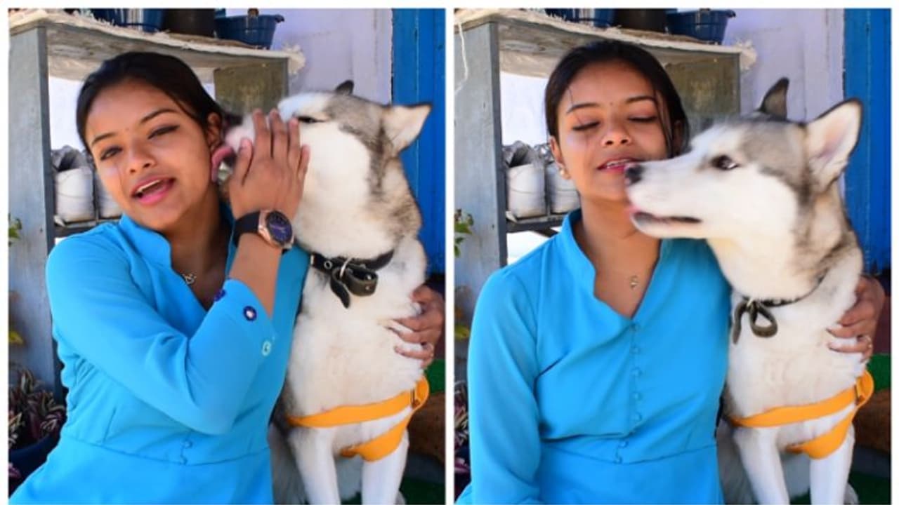 യുദ്ധക്കെടുതിയെ അതിജീവിച്ച്, യുക്രൈനിൽ നിന്നെത്തിയ സൈറ; ഇപ്പോൾ മൂന്നാർ സ്വന്തം വീട്! യുദ്ധക്കെടുതിയെ അതിജീവിച്ച്, യുക്രൈനിൽ നിന്നെത്തിയ സൈറ; ഇപ്പോൾ മൂന്നാർ സ്വന്തം വീട്!