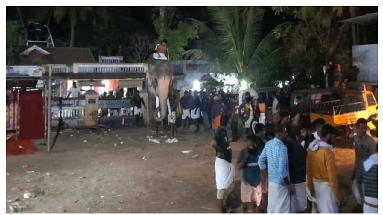 ഉത്സവത്തിനിടെ തെച്ചിക്കോട്ടുകാവ് രാമചന്ദ്രൻ ഇടഞ്ഞു, പാപ്പാന് ഗുരുതര പരിക്ക്; ഏറെനേരം പരിഭ്രാന്തി വീഡിയോ ഉത്സവത്തിനിടെ തെച്ചിക്കോട്ടുകാവ് രാമചന്ദ്രൻ ഇടഞ്ഞു, പാപ്പാന് ഗുരുതര പരിക്ക്; ഏറെനേരം പരിഭ്രാന്തി വീഡിയോ