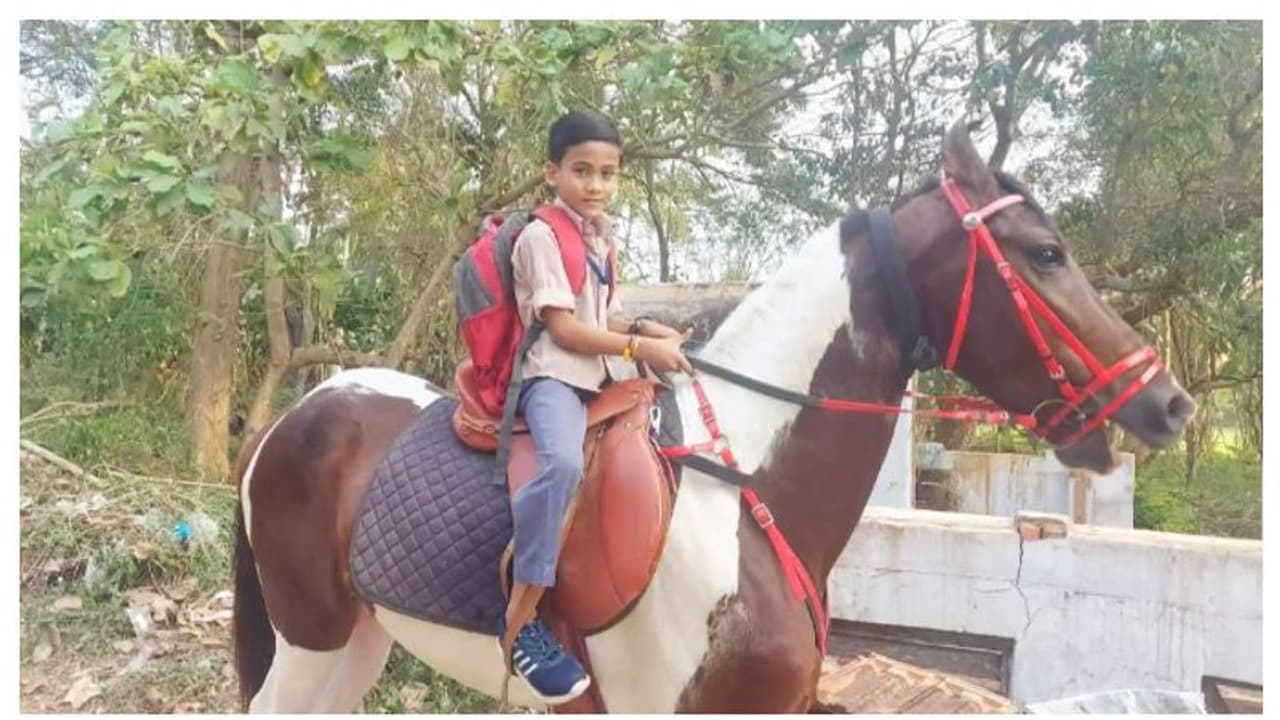 ഇഷ്ടമുള്ളപ്പോൾ കുതിരപ്പുറത്തേറി സ്കൂളിൽ പോകും; നാട്ടിൽ താരമായി കാളിദാസനും അഭിമന്യുവും ഇഷ്ടമുള്ളപ്പോൾ കുതിരപ്പുറത്തേറി സ്കൂളിൽ പോകും; നാട്ടിൽ താരമായി കാളിദാസനും അഭിമന്യുവും