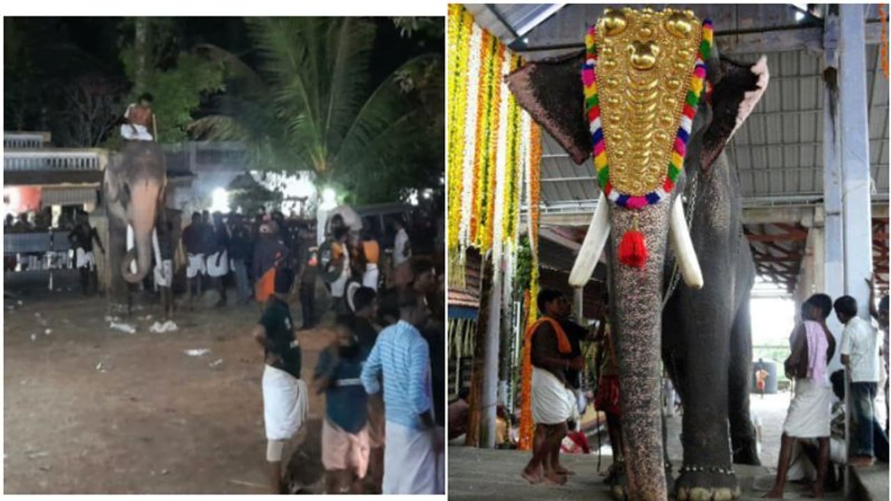 'ഇടഞ്ഞോടിയത് രാമചന്ദ്രനല്ല, മറ്റൊരാന, രാമചന്ദ്രനെ ഇകഴ്ത്താൻ ശ്രമം നടത്തുന്നു'; വിശദീകരണവുമായി ക്ഷേത്ര ഭരണസമിതി