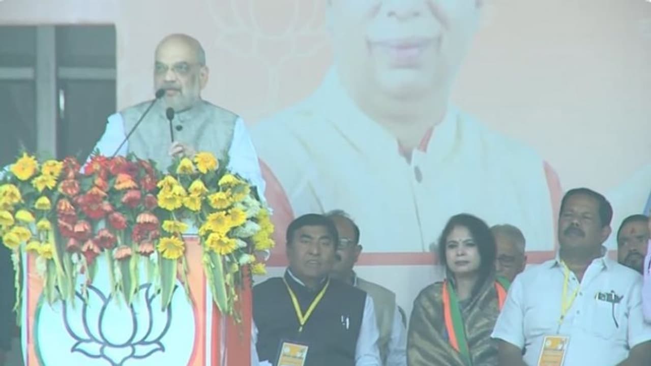 ప్రధాని అయ్యేందుకే బీహార్ సీఎం నితీష్ కుమార్ కాంగ్రెస్, ఆర్జేడీతో చేతులు కలిపారు అమిత్ షా