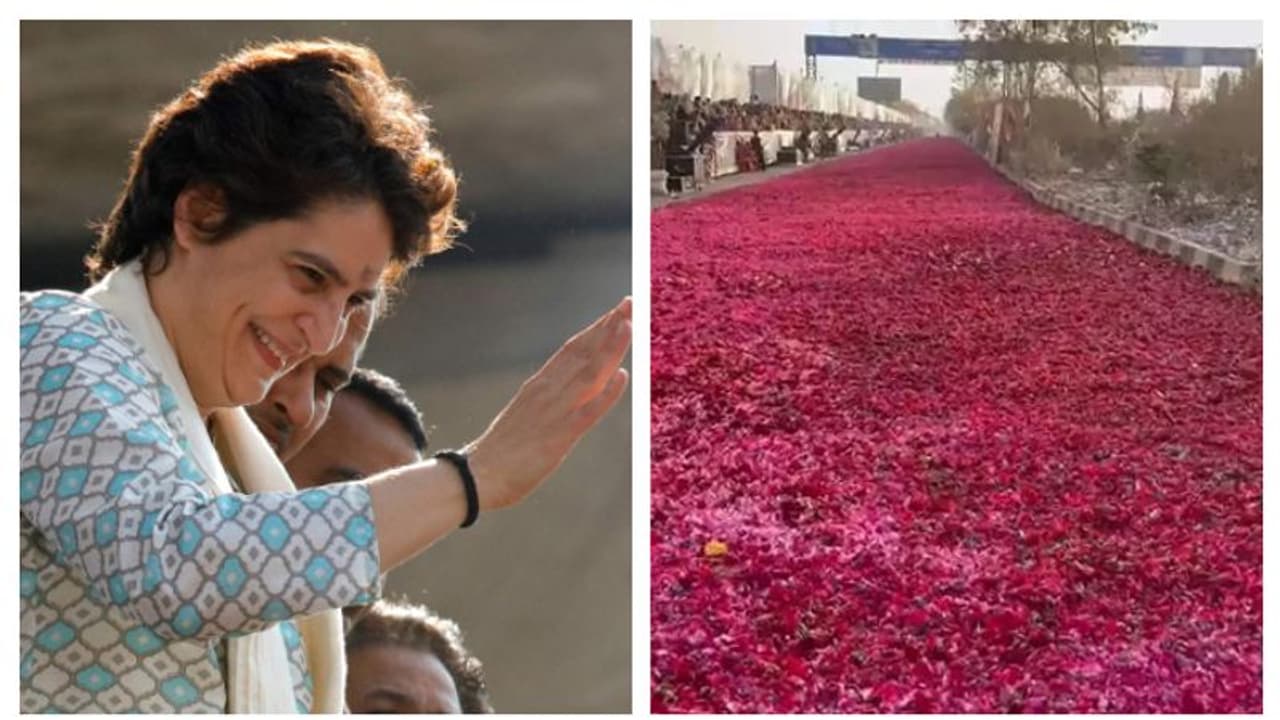 ആറായിരം കിലോ റോസാപ്പൂക്കൾ; പ്രിയങ്കക്ക് ഊഷ്മള വരവേൽപ്പ് ആറായിരം കിലോ റോസാപ്പൂക്കൾ; പ്രിയങ്കക്ക് ഊഷ്മള വരവേൽപ്പ്