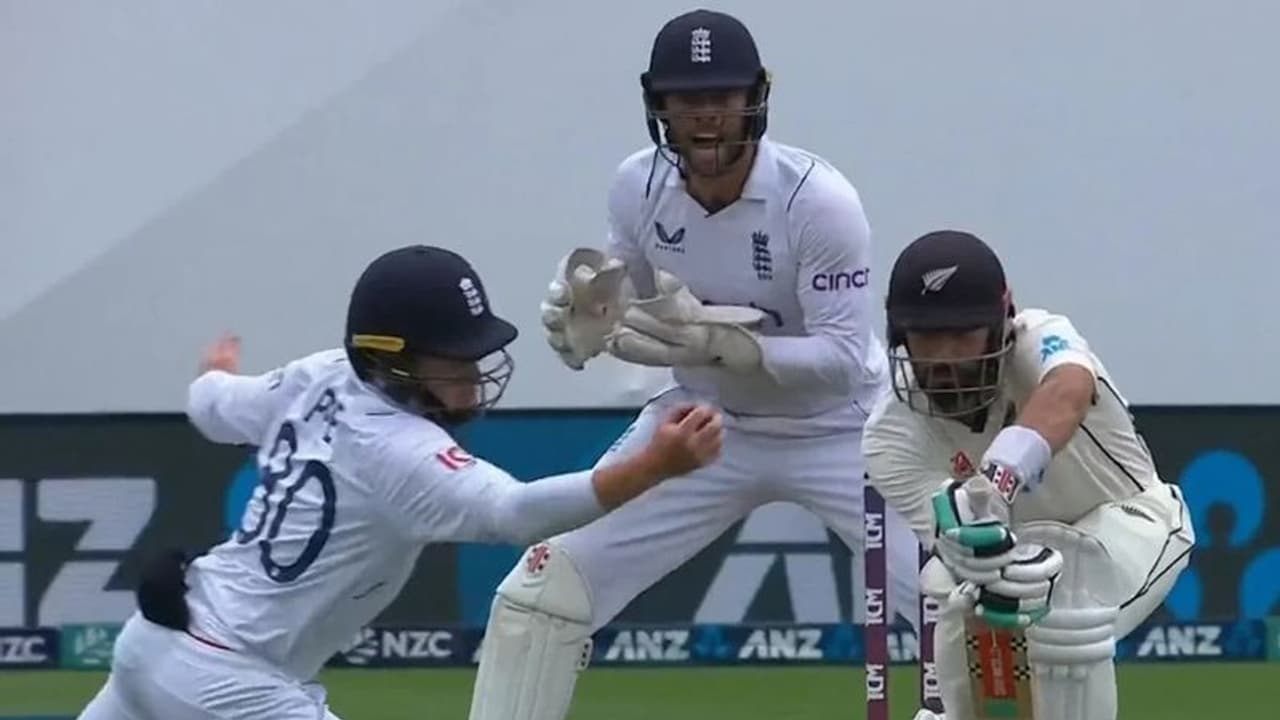 రెప్ప పాటులో సింగిల్ హ్యాండ్తో స్టన్నింగ్ క్యాచ్.. మళ్లీ ఇలాంటి సీన్ కనిపించదేమో, వీడియో వైరల్ రెప్ప పాటులో సింగిల్ హ్యాండ్తో స్టన్నింగ్ క్యాచ్.. మళ్లీ ఇలాంటి సీన్ కనిపించదేమో, వీడియో వైరల్