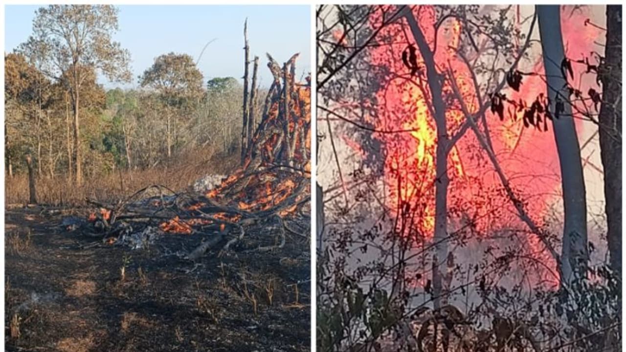 വയനാട് ഓടപ്പള്ളം വനത്തില് വന് അഗ്നിബാധ; ആറ് ഏക്കറിലധികം കത്തി നശിച്ചു വയനാട് ഓടപ്പള്ളം വനത്തില് വന് അഗ്നിബാധ; ആറ് ഏക്കറിലധികം കത്തി നശിച്ചു