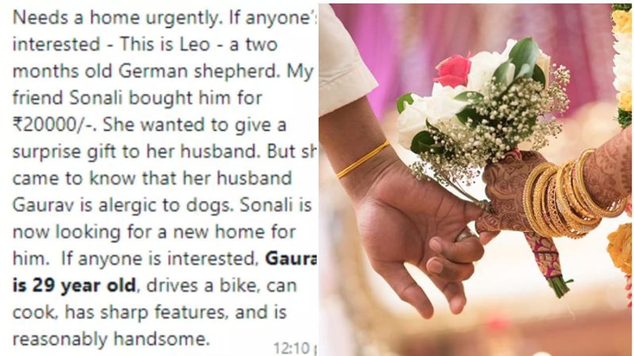 സുന്ദരനും സുമുഖനുമാണ് പാചകവും അറിയാം; ഭർത്താവിനെ ദത്ത് നൽകാൻ തയ്യാർ, പരസ്യം നൽകി യുവതി സുന്ദരനും സുമുഖനുമാണ് പാചകവും അറിയാം; ഭർത്താവിനെ ദത്ത് നൽകാൻ തയ്യാർ, പരസ്യം നൽകി യുവതി