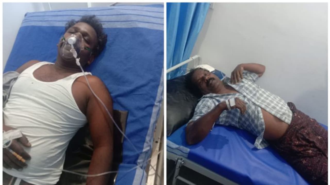 വയനാട്ടിൽ കടന്നല്‍ക്കൂട്ടത്തിന്റെ ആക്രമണം, പത്ത് പേര്‍ക്ക് പരിക്ക്; പന്നിയുടെ ആക്രമണവും ഉണ്ടായി