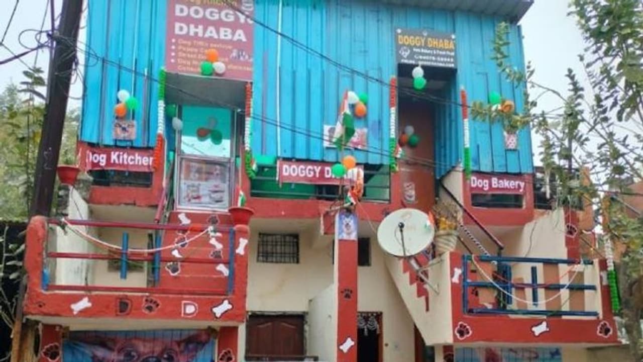 നായകൾക്ക് വേണ്ടി ഒരു ധാബ, നായപ്രേമികളായ ദമ്പതികളുടെ സംരംഭം