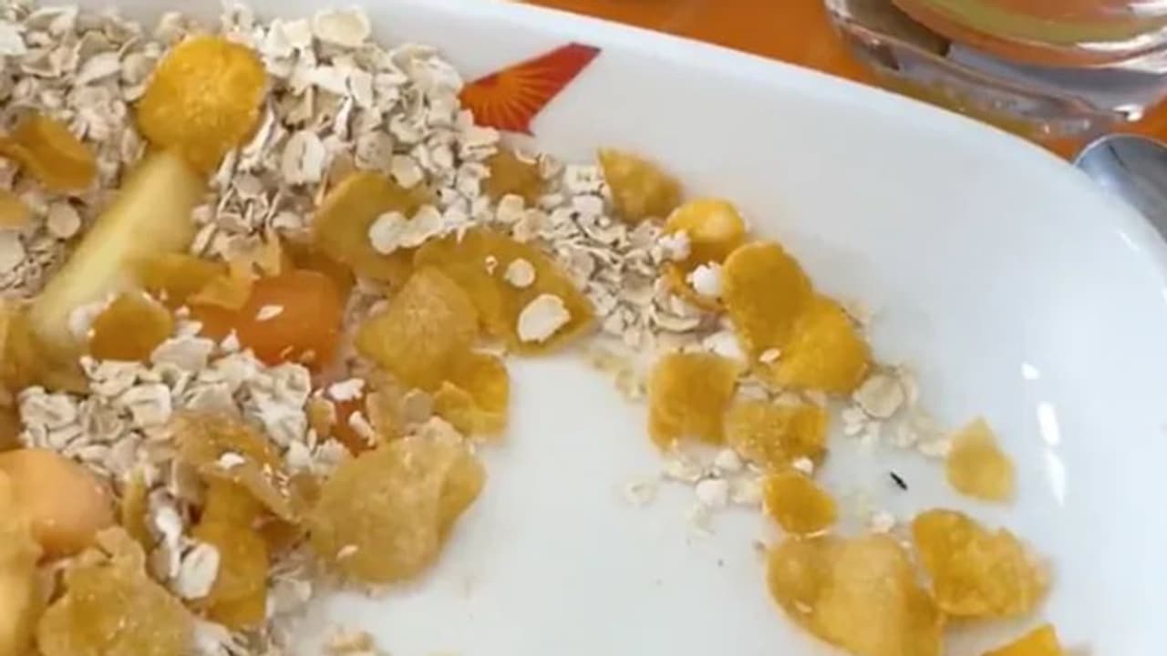 വിമാനത്തിലെ ഭക്ഷണത്തില്‍ പ്രാണി; വീഡിയോ വൈറല്‍; വിമര്‍ശനം 