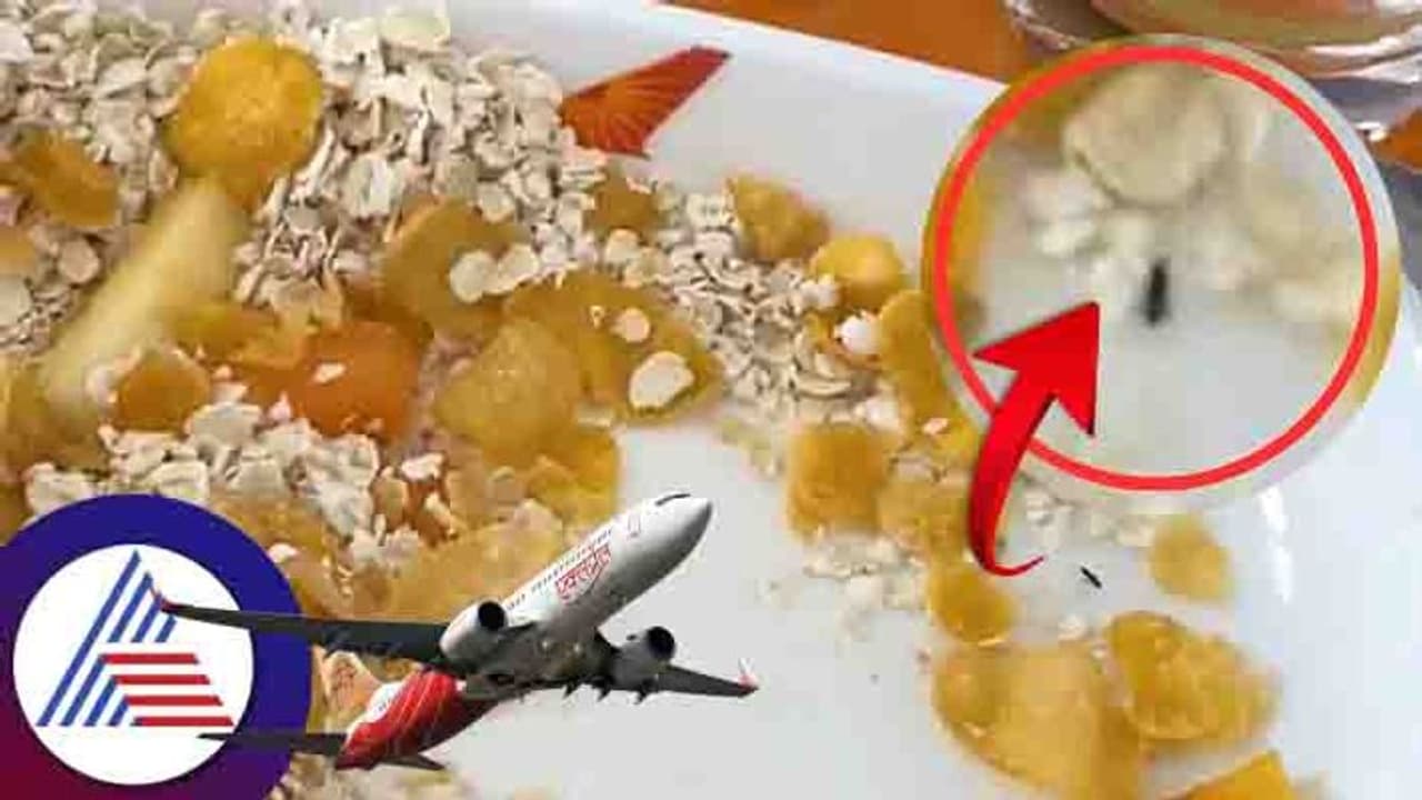 ఎయిర్ ఇండియా విమాన భోజనంలో పురుగు.. మండిపడ్డ ప్యాసింజర్.. స్పందించిన విమానయాన సంస్థ 