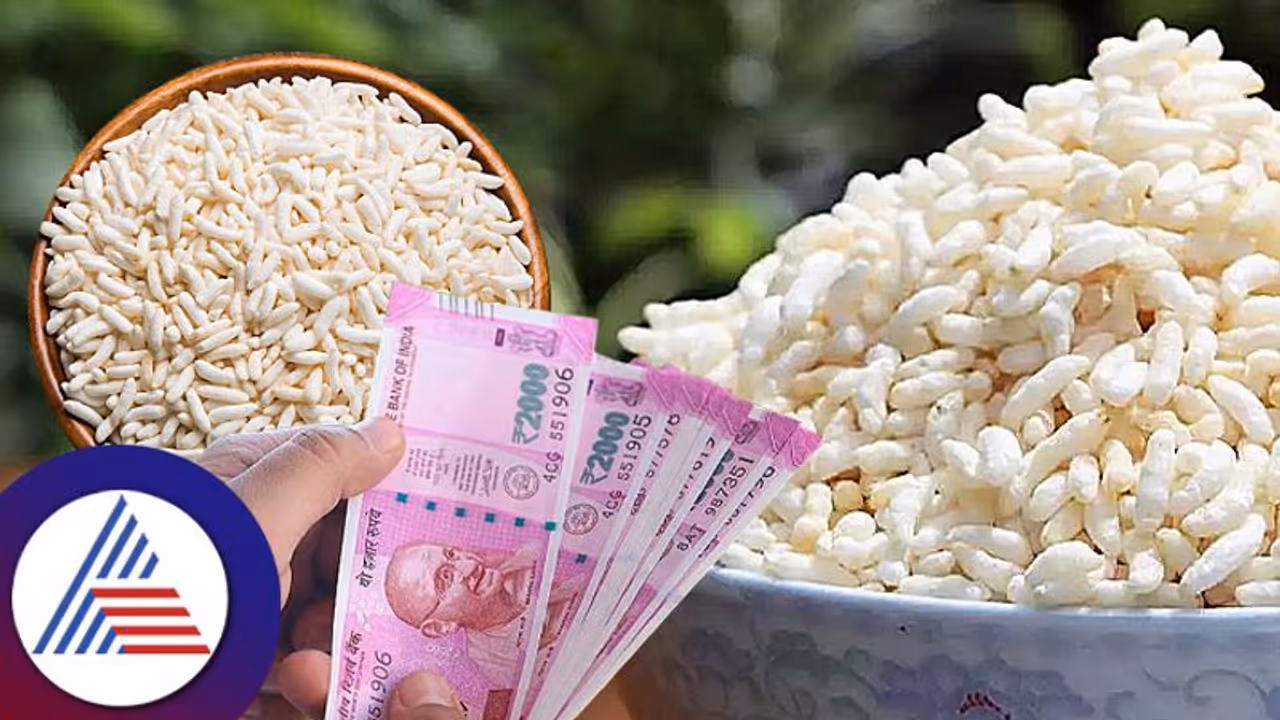 Business Ideas: ಮಂಡಕ್ಕಿ ಮಾಡೋದು ಒಳ್ಳೇ ಆದಾಯ ತರುತ್ತೆ ಇಲ್ನೋಡಿ