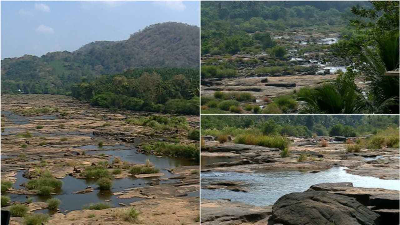 ചാലക്കുടിപ്പുഴത്തടത്തിലെ ജലക്ഷാമം നേരിടാന്‍ നടപടി, കേരള ഷോളയാറില്‍ നിന്നും വെള്ളം തുറന്നുവിടാന്‍ നിര്‍ദ്ദേശം