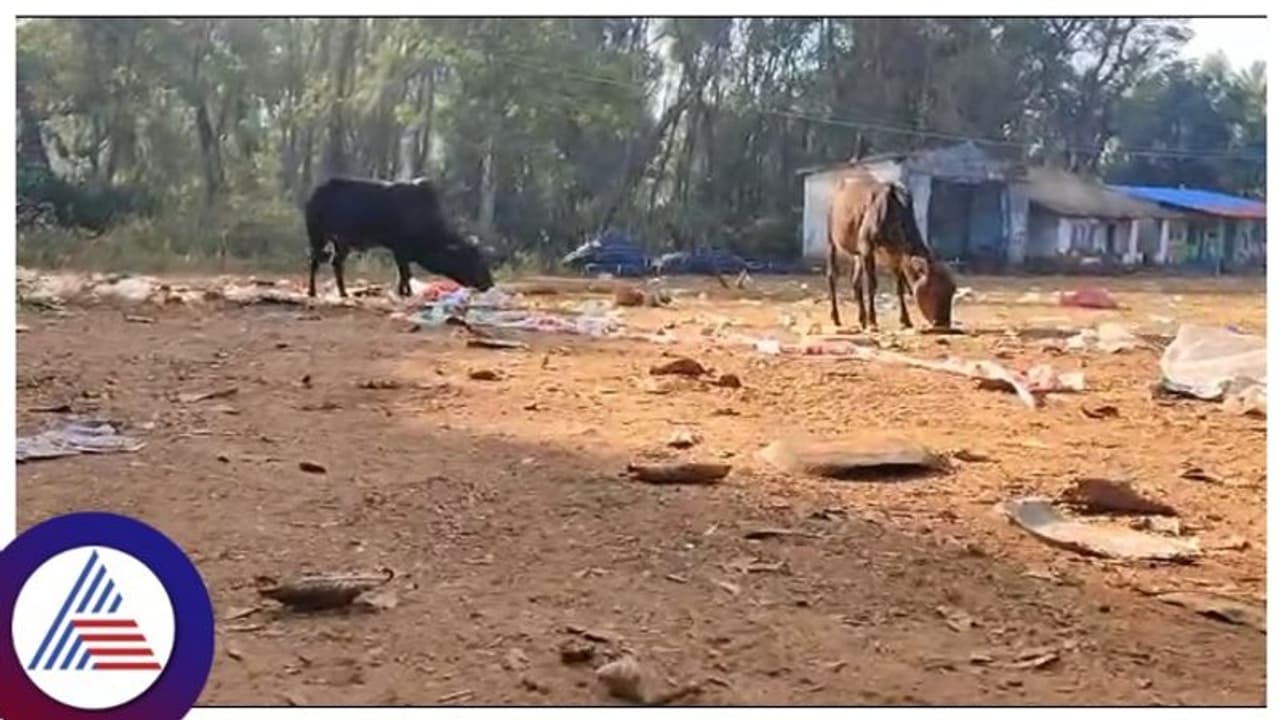 Chikkamagaluru: ಹಸುಗಳ ಸಾವಿಗೆ ಕಾರಣವಾಯ್ತಾ ಜೆಡಿಎಸ್ ಪಕ್ಷದ ಪಂಚರತ್ನ ಯಾತ್ರೆ Chikkamagaluru: ಹಸುಗಳ ಸಾವಿಗೆ ಕಾರಣವಾಯ್ತಾ ಜೆಡಿಎಸ್ ಪಕ್ಷದ ಪಂಚರತ್ನ ಯಾತ್ರೆ