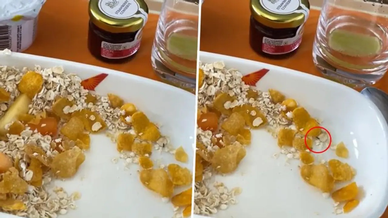 Air India Business Class passenger finds insect in meal served to him on Mumbai Chennai flight