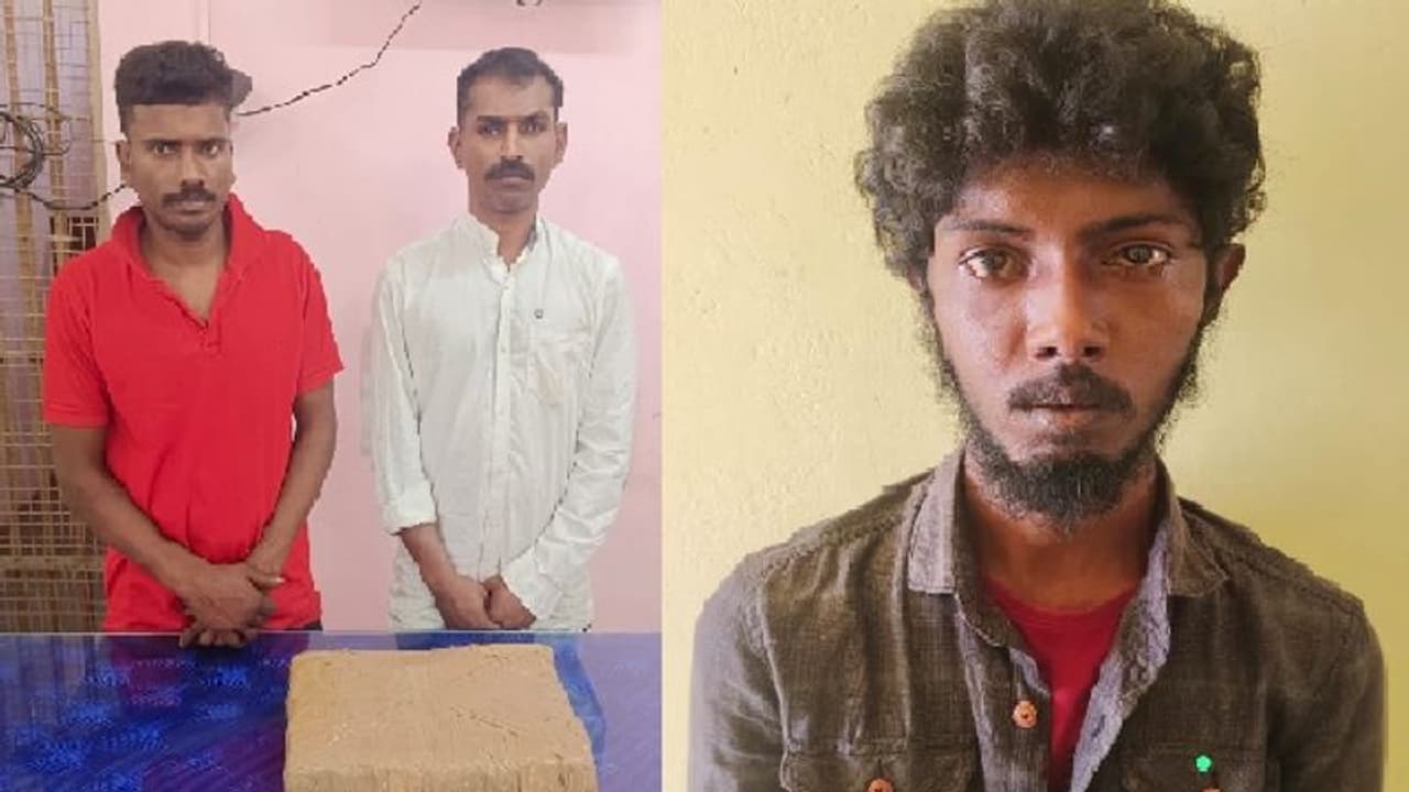 கோவையில் போதைபொருள் விற்பனையில் ஈடுபட்ட மூவர் கைது... 4.5 கிலோ கஞ்சா பறிமுதல்!! கோவையில் போதைபொருள் விற்பனையில் ஈடுபட்ட மூவர் கைது... 4.5 கிலோ கஞ்சா பறிமுதல்!!