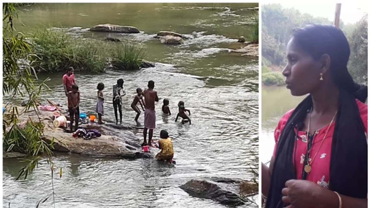പരക്കുനിയിലും പരിസരത്തും ജലക്ഷാമം രൂക്ഷം; ചീങ്കണ്ണി പേടി ഉപേക്ഷിച്ച് പനമരം പുഴയില്‍ കുളിയും അലക്കും തകൃതി