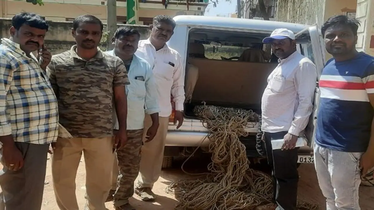 ಹೂವಿನಹಡಗಲಿ: ಆಹಾರ ಅರಸಿ ಬಂದು ಪಂಪ್‌ಹೌಸ್‌ನಲ್ಲಿ ಸಿಲುಕಿದ್ದ ಚಿರತೆ ಸೆರೆ