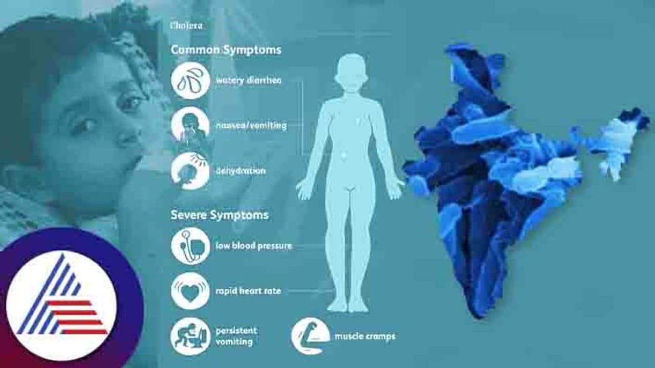 Health Tips : ಮತ್ತೆ ಭಾರತವನ್ನು ಕಾಡಲಿದ್ಯಾ ಕಾಲರಾ? ಜೋಪಾನ