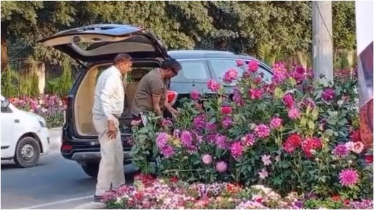 G 20 Summit:அல்பம்! ஜி 20 மாநாட்டுப் பூந்தொட்டிகளை ரூ.40 லட்சம் சொகுசு காரில் வந்து திருடியவர்கள் கைது G 20 Summit:அல்பம்! ஜி 20 மாநாட்டுப் பூந்தொட்டிகளை ரூ.40 லட்சம் சொகுசு காரில் வந்து திருடியவர்கள் கைது