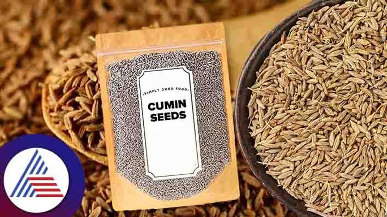 ತುಂಡು ಭೂಮಿ ಇದ್ದರೂ ಸಾಕು, ಈ ಬ್ಯೂಸಿನೆಸ್ ಶುರು ಮಾಡಬಹುದು ನೋಡಿ