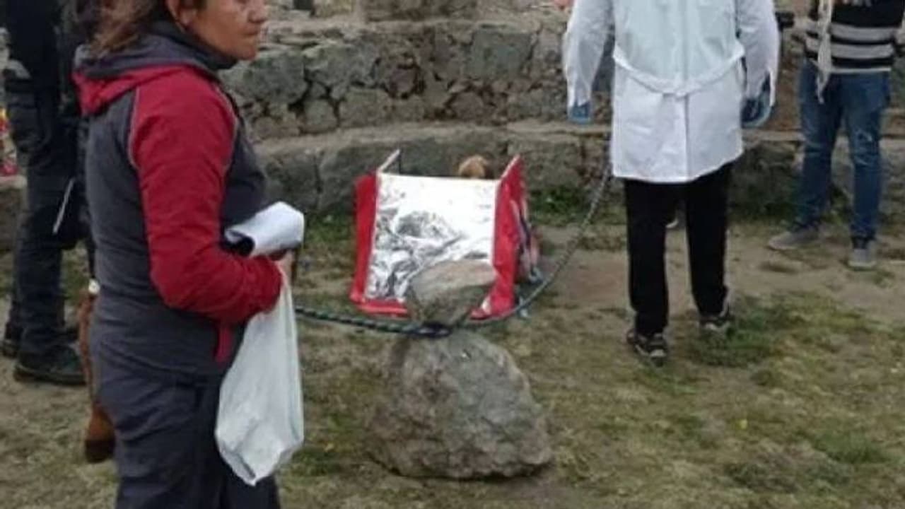 800 വർഷം പഴക്കമുള്ള മമ്മിയുമായി യുവാവ് പിടിയിൽ; തന്റെ 'ആത്മീയ കാമുകി'യാണെന്ന് യുവാവ്