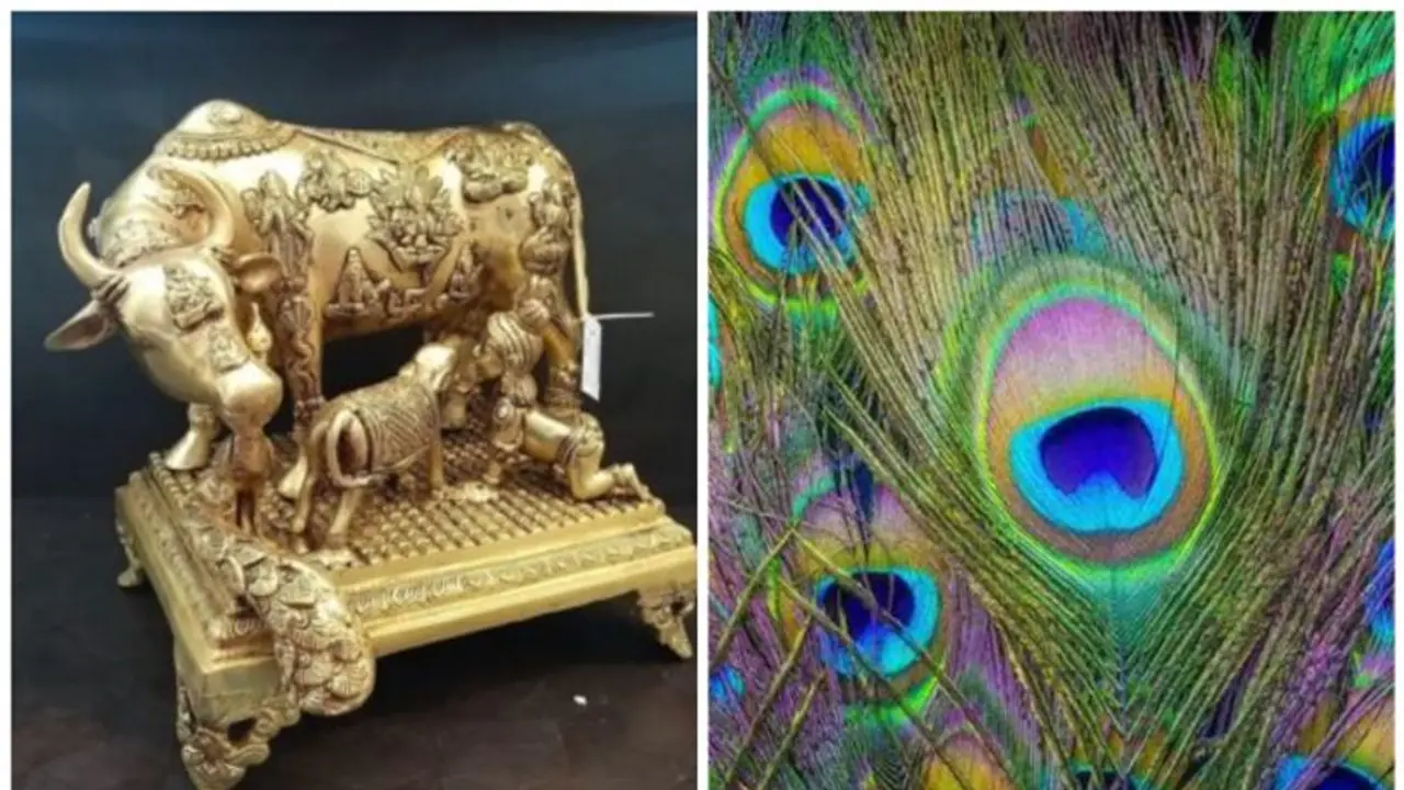 ఆర్థిక సమస్యలతో సతమతమవుతున్నారా... ఈ రెండు వస్తువులను ఇంటికి తెచ్చుకుంటే చాలు! ఆర్థిక సమస్యలతో సతమతమవుతున్నారా... ఈ రెండు వస్తువులను ఇంటికి తెచ్చుకుంటే చాలు!