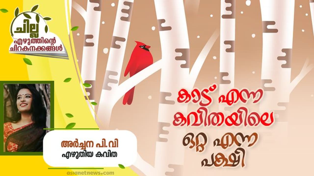 Malayalam Poem: കാട് എന്ന കവിതയിലെ ഒറ്റ എന്ന പക്ഷി, അര്ച്ചന പി.വി എഴുതിയ കവിത Malayalam Poem: കാട് എന്ന കവിതയിലെ ഒറ്റ എന്ന പക്ഷി, അര്ച്ചന പി.വി എഴുതിയ കവിത