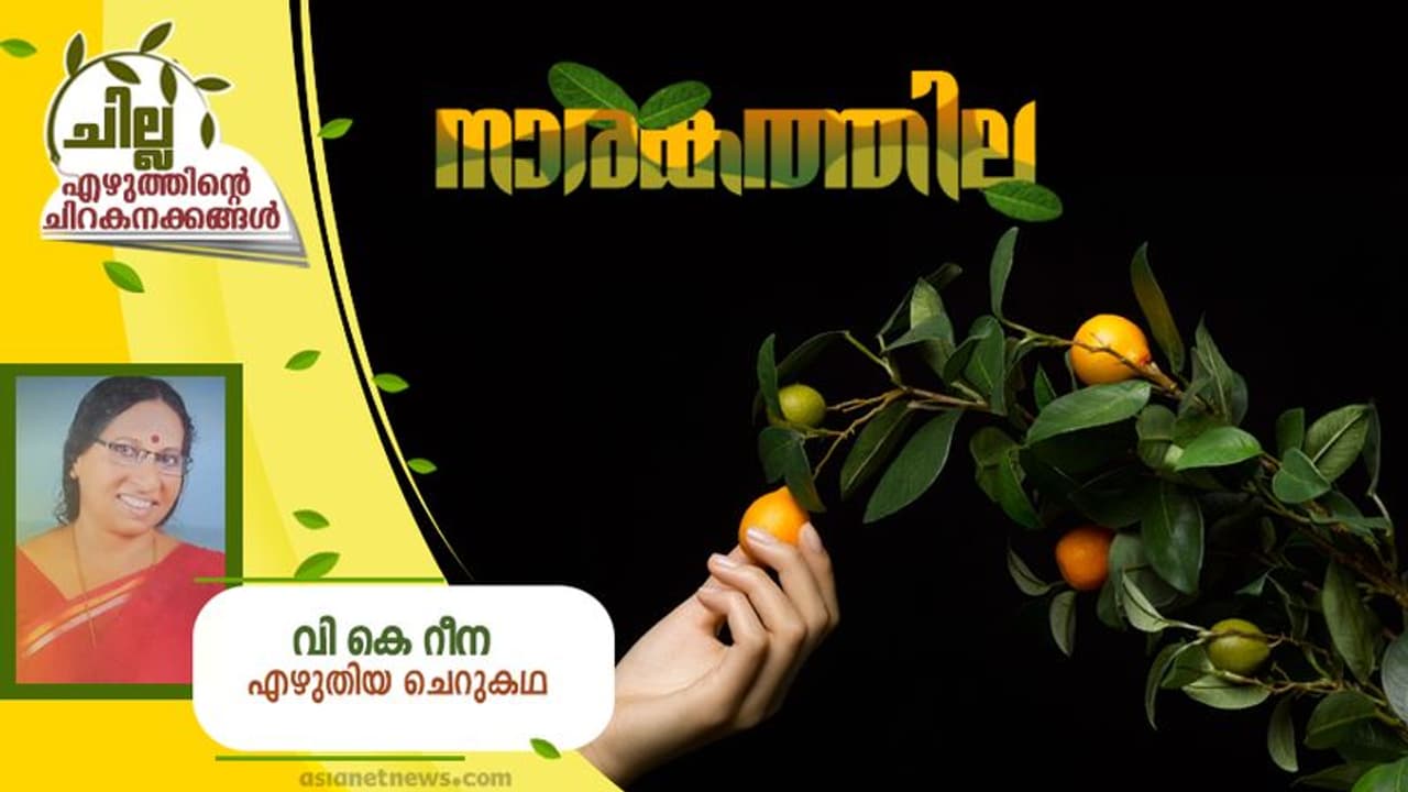 Malayalam Short Story: നാരകത്തില, വി കെ റീന എഴുതിയ ചെറുകഥ Malayalam Short Story: നാരകത്തില, വി കെ റീന എഴുതിയ ചെറുകഥ