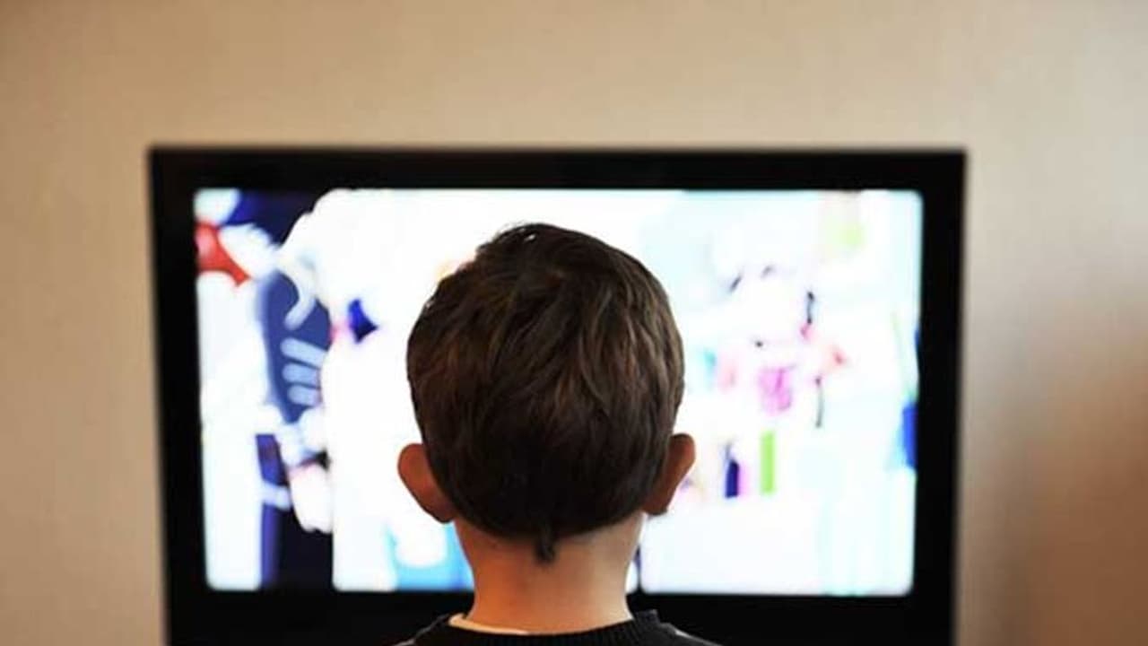 తల్లిదండ్రుల దగ్గర బైబిల్ ఉందని.. రెండేళ్ల చిన్నారికి జీవిత ఖైదు.. ఎక్కడంటే... తల్లిదండ్రుల దగ్గర బైబిల్ ఉందని.. రెండేళ్ల చిన్నారికి జీవిత ఖైదు.. ఎక్కడంటే...