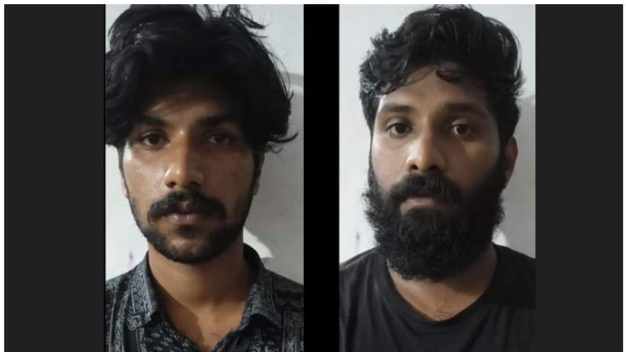 എംഡിഎംഎ വിൽപന, കഞ്ചാവ് ചെടി വളർത്തൽ; ജ്യേഷ്ഠനും അനിയനും അറസ്റ്റിൽ എംഡിഎംഎ വിൽപന, കഞ്ചാവ് ചെടി വളർത്തൽ; ജ്യേഷ്ഠനും അനിയനും അറസ്റ്റിൽ