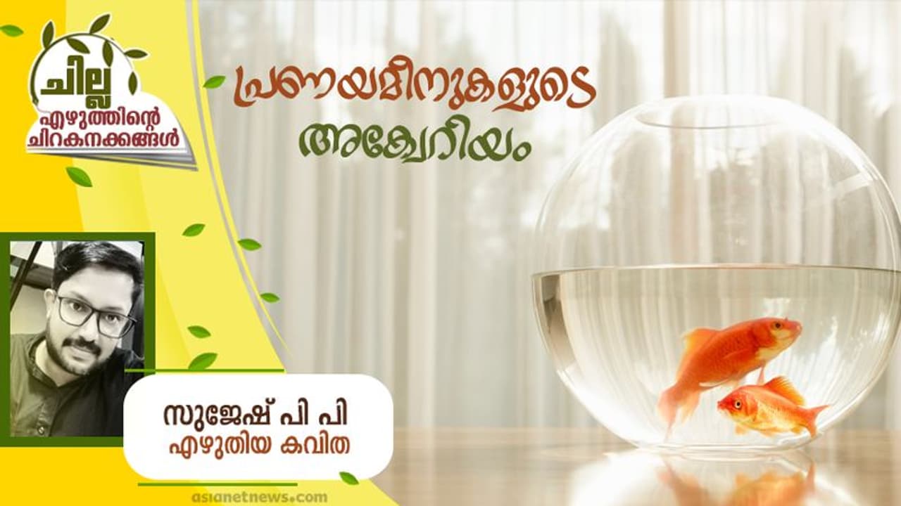 Malayalam Poem : പ്രണയമീനുകളുടെ അക്വേറിയം, സുജേഷ് പി പി എഴുതിയ കവിത Malayalam Poem : പ്രണയമീനുകളുടെ അക്വേറിയം, സുജേഷ് പി പി എഴുതിയ കവിത