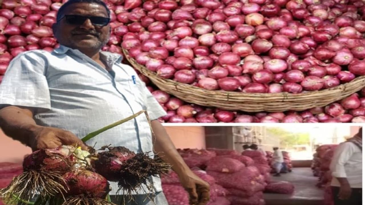 ಒಂದು ಕೆಜಿ ಈರುಳ್ಳಿಗೆ 5 ರೂಪಾಯಿ ಬೆಲೆ ಸಿಕ್ತಿಲ್ಲ: ಕಂಗಾಲಾದ ಈರುಳ್ಳಿ ಬೆಳೆದ ರೈತರು ಒಂದು ಕೆಜಿ ಈರುಳ್ಳಿಗೆ 5 ರೂಪಾಯಿ ಬೆಲೆ ಸಿಕ್ತಿಲ್ಲ: ಕಂಗಾಲಾದ ಈರುಳ್ಳಿ ಬೆಳೆದ ರೈತರು