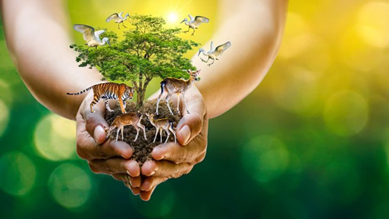 World Wildlife Day 2023: മനുഷ്യനും വന്യജീവികളുടെ തമ്മിലുള്ള സംഘര്‍ഷകാലത്തെ ലോക വന്യജീവി ദിനാഘോഷം