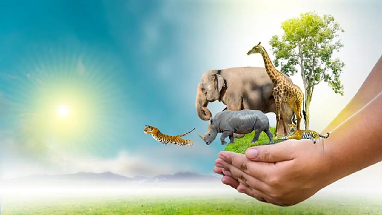 What is the theme of World Wildlife Day 2024?