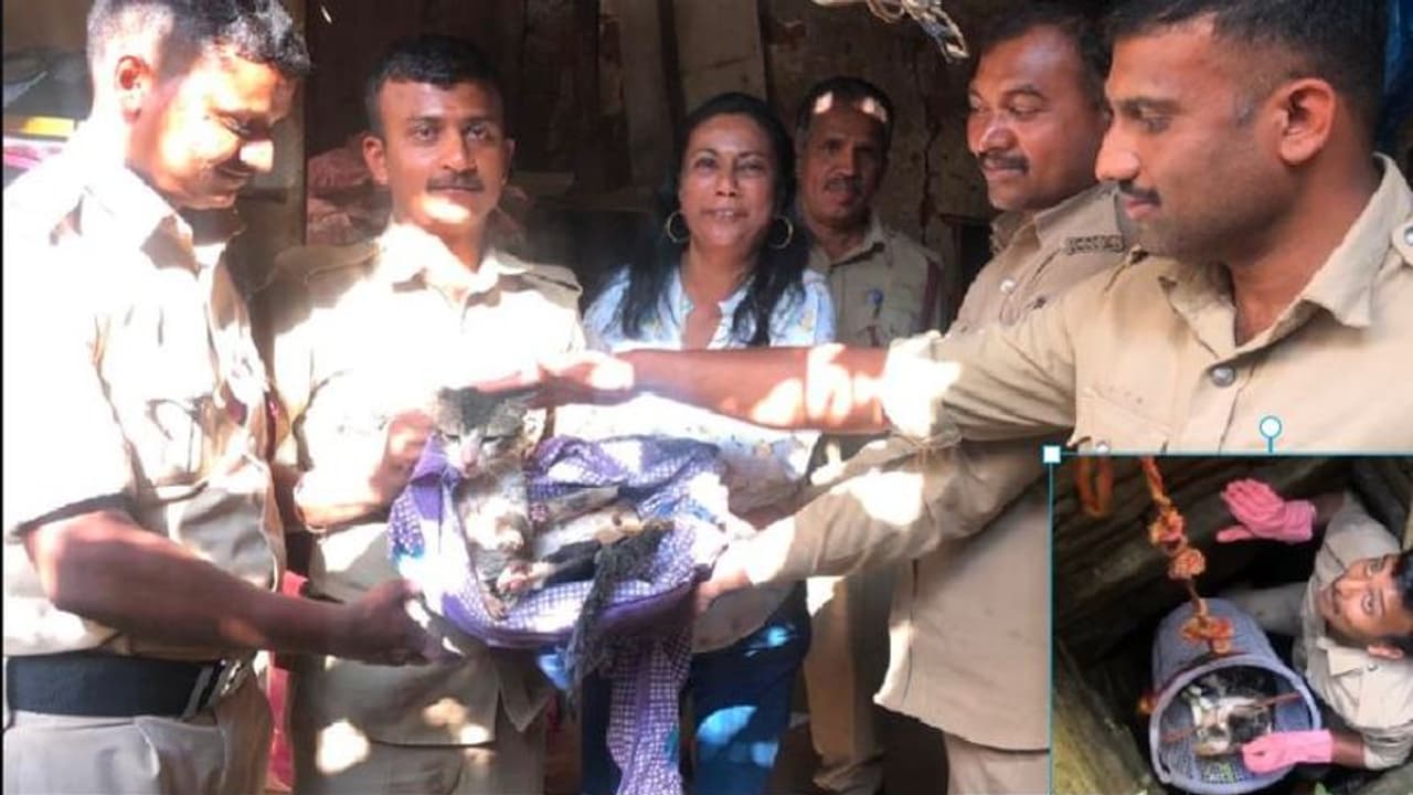 ಮೂವತ್ತಡಿ ಆಳದ ಬಾವಿಗೆ ಬಿದ್ದಿದ್ದ ಬೆಕ್ಕಿನಮರಿ: ಅಗ್ನಿಶಾಮಕದಳದಿಂದ ರಕ್ಷಣಾ ಕಾರ್ಯ ಯಶಸ್ವಿ ಮೂವತ್ತಡಿ ಆಳದ ಬಾವಿಗೆ ಬಿದ್ದಿದ್ದ ಬೆಕ್ಕಿನಮರಿ: ಅಗ್ನಿಶಾಮಕದಳದಿಂದ ರಕ್ಷಣಾ ಕಾರ್ಯ ಯಶಸ್ವಿ