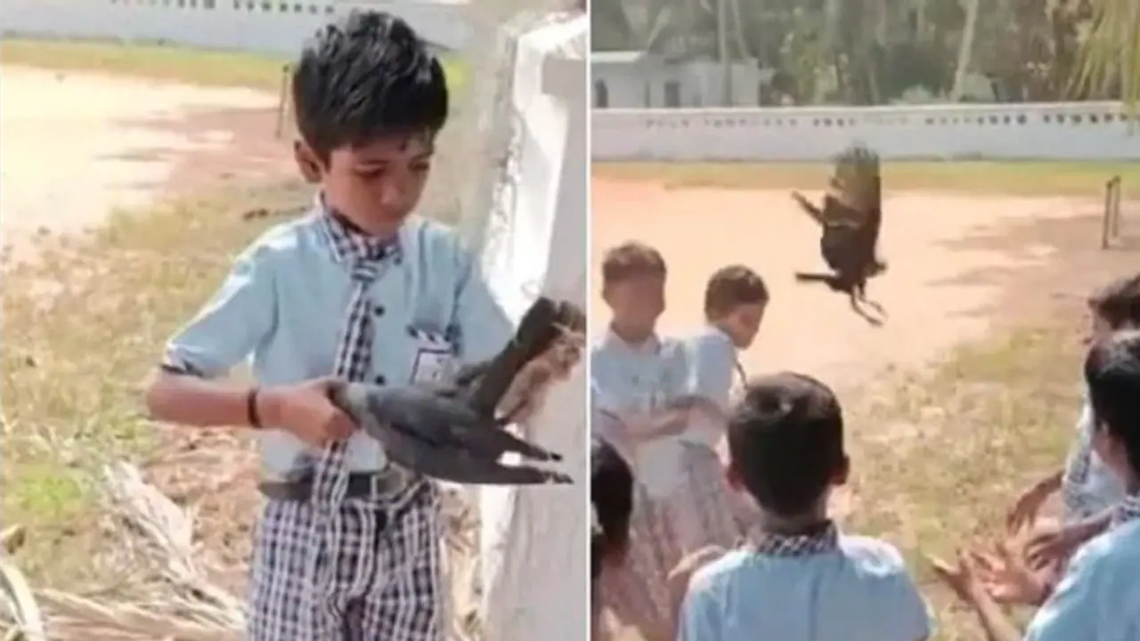 ಕಾಗೆಯನ್ನು ರಕ್ಷಿಸಿದ ಪುಟ್ಟ ಬಾಲಕನ ಕಾರ್ಯಕ್ಕೆ ಶ್ಲಾಘನೆ: ವಿಡಿಯೋ ವೈರಲ್ ಕಾಗೆಯನ್ನು ರಕ್ಷಿಸಿದ ಪುಟ್ಟ ಬಾಲಕನ ಕಾರ್ಯಕ್ಕೆ ಶ್ಲಾಘನೆ: ವಿಡಿಯೋ ವೈರಲ್