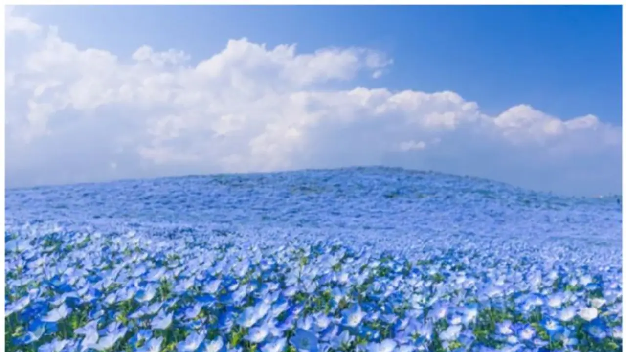  నేను చనిపోయి స్వర్గానికి వెళ్లి వచ్చా.. మహిళ షాకింగ్ కామెంట్స్..!