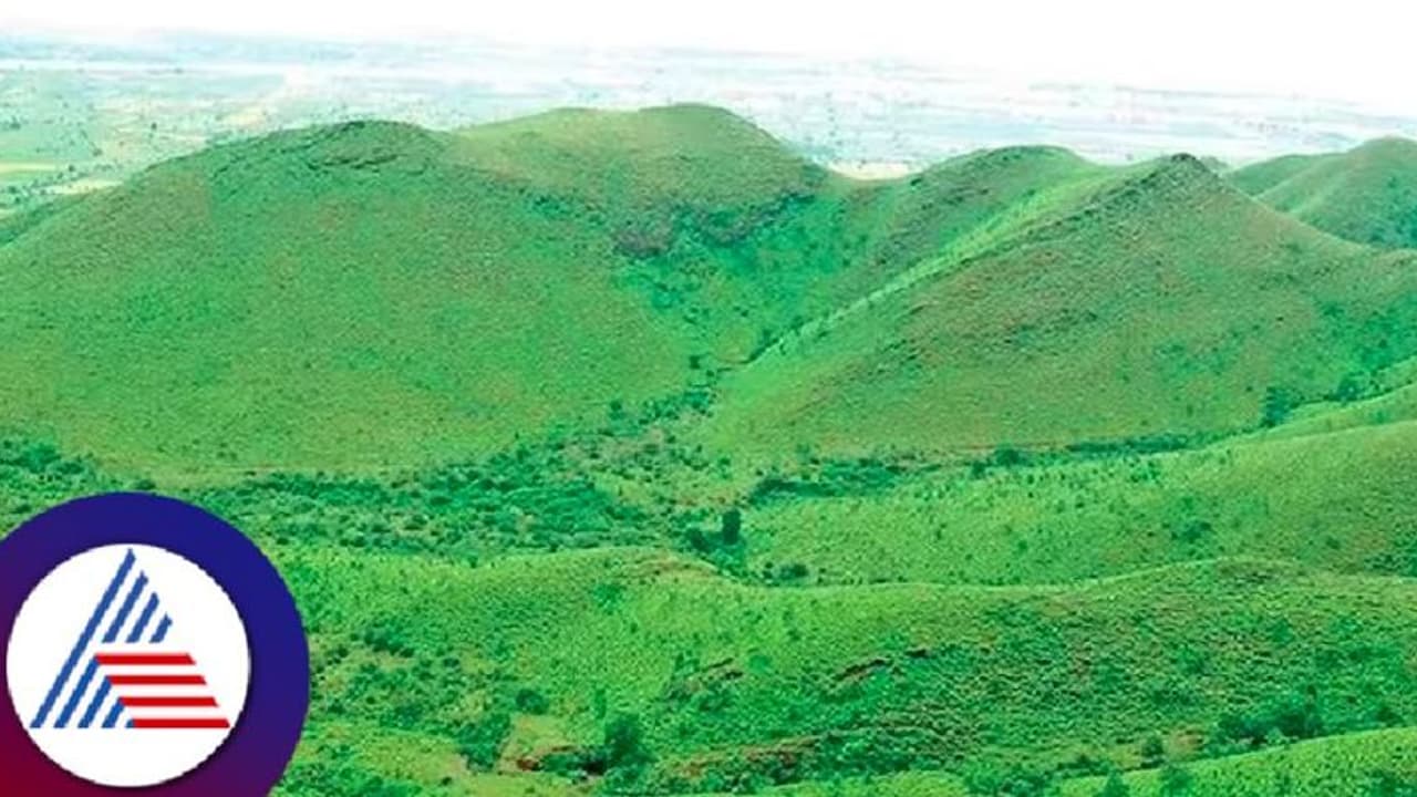 ಗದಗ: ಕಪ್ಪತ್ತಗುಡ್ಡ ಸಂರಕ್ಷಣೆಗೆ ವಿಶೇಷ ಕಾರ್ಯಪಡೆ ರಚಿಸಲು ಹೊರಟ್ಟಿ ಆಗ್ರಹ