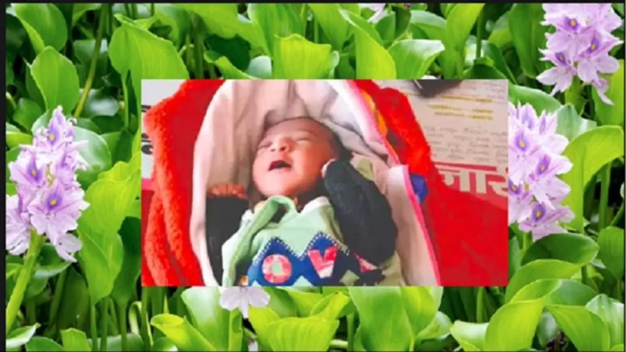 ಅಮ್ಮ ಕೆರೆಗೆಸೆದ ಮಗುವನ್ನು ರಕ್ಷಿಸಿದ ಲಿಲ್ಲಿಗಿಡಗಳು... ಬರೇಲಿಯಲ್ಲೊಂದು ಪವಾಡಸದೃಶ ಘಟನೆ ಅಮ್ಮ ಕೆರೆಗೆಸೆದ ಮಗುವನ್ನು ರಕ್ಷಿಸಿದ ಲಿಲ್ಲಿಗಿಡಗಳು... ಬರೇಲಿಯಲ್ಲೊಂದು ಪವಾಡಸದೃಶ ಘಟನೆ