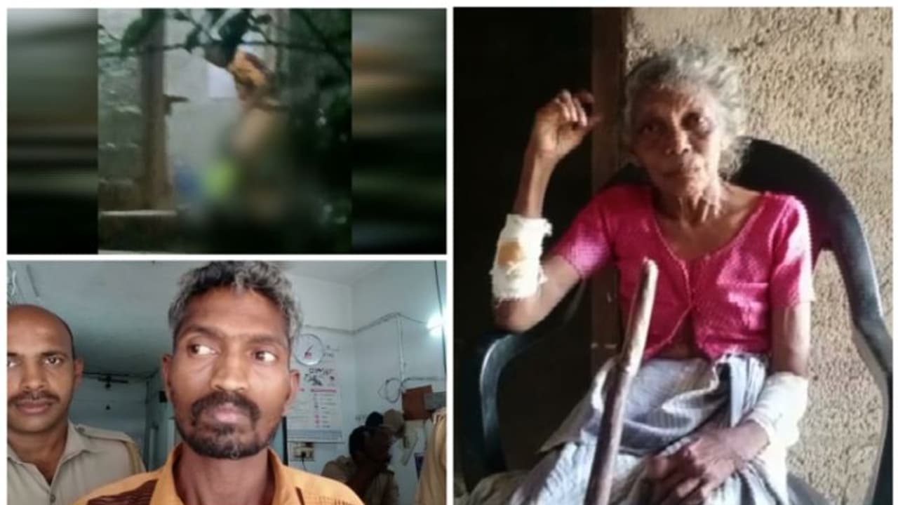 കൊല്ലത്ത് വൃദ്ധ മാതാവിന് മദ്യലഹരിയിൽ മകന്റെ ക്രൂരമർദ്ദനം, അറസ്റ്റ് 