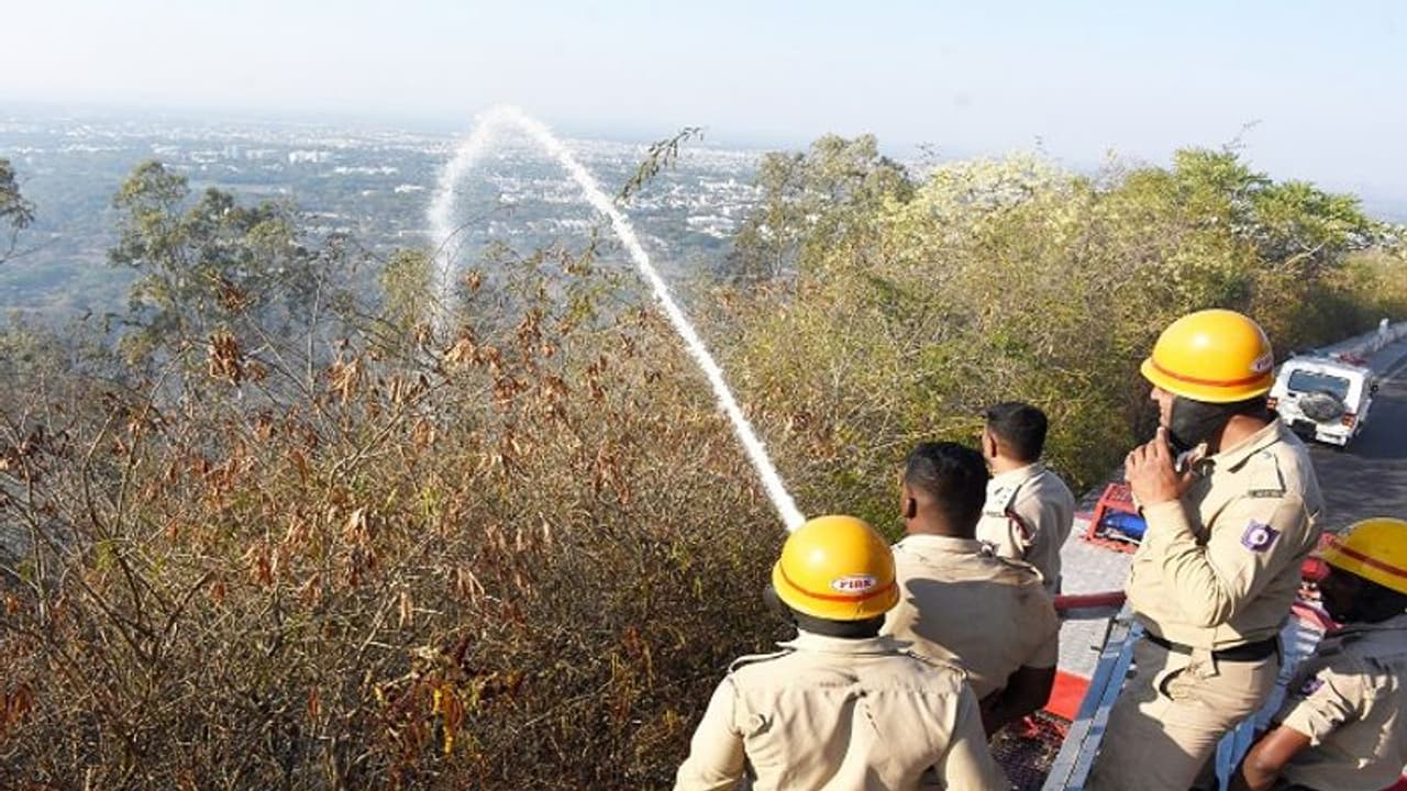 ಚಾಮುಂಡಿಬೆಟ್ಟ ಸೇರಿ 4 ಕಡೆ ಕಾಳ್ಗಿಚ್ಚು: ಅಪಾರ ಪ್ರಮಾಣದ ಅರಣ್ಯ ಪ್ರದೇಶ ಬೆಂಕಿಗೆ ಆಹುತಿ
