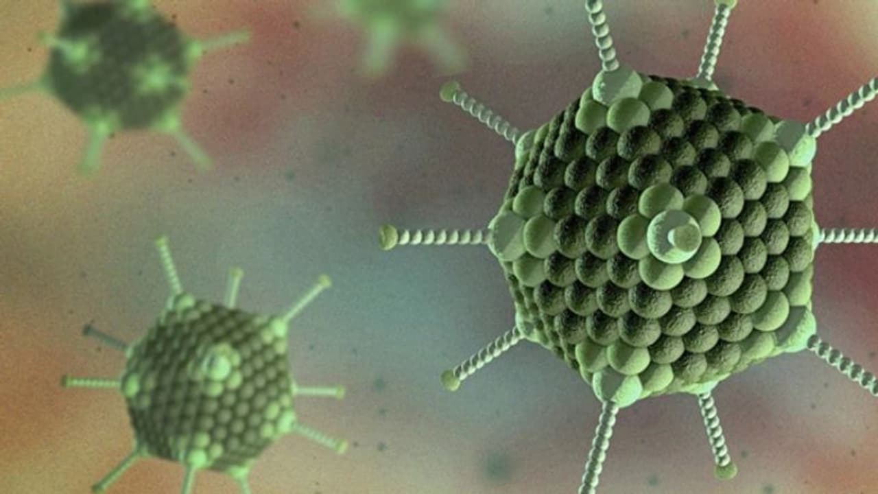 കുട്ടികള്ക്കിടയില് 'അഡെനോ വൈറസ്' ബാധ വ്യാപകമാകുന്നു;നിസാരമാക്കരുതെന്ന് ഡോക്ടര്മാര് കുട്ടികള്ക്കിടയില് 'അഡെനോ വൈറസ്' ബാധ വ്യാപകമാകുന്നു;നിസാരമാക്കരുതെന്ന് ഡോക്ടര്മാര്