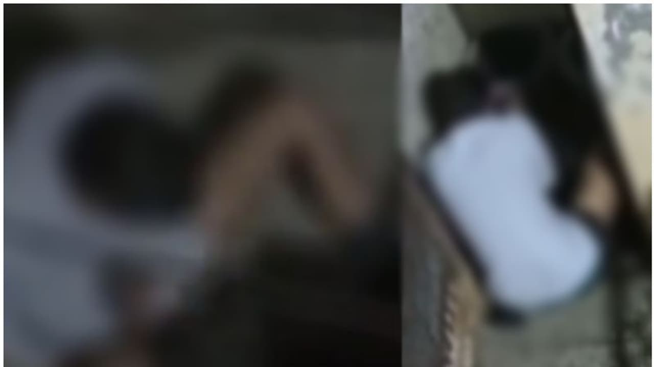 വീണ്ടും ക്രൂരത, നായയെ ബലാത്സംഗം ചെയ്ത യുവാവ് അറസ്റ്റില്‍, തെളിവായ വീഡിയോ പകർത്തിയത് അയല്‍വാസി