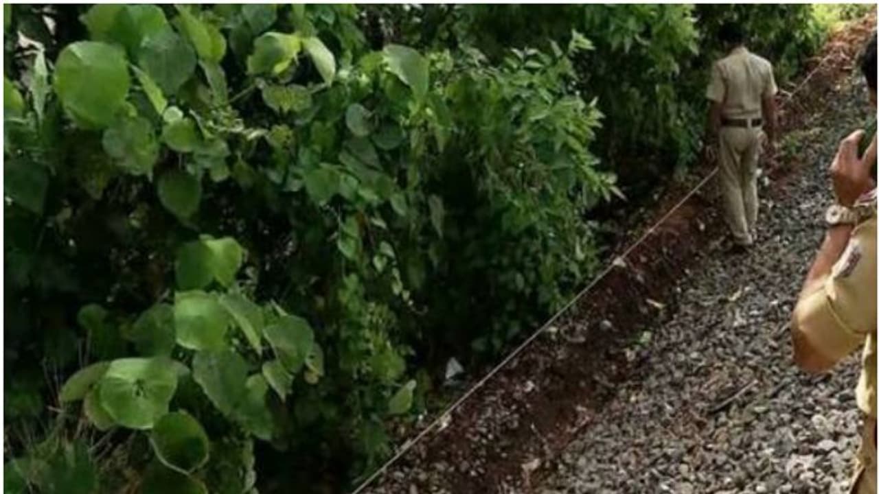 ട്രെയിൻ യാത്രക്കിടെ തിരുവനന്തപുരം സ്വദേശിക്ക് ദാരുണാന്ത്യം; വാതിൽപ്പടിയിൽ ഇരുന്ന് ഉറങ്ങി വീണെന്ന് നിഗമനം