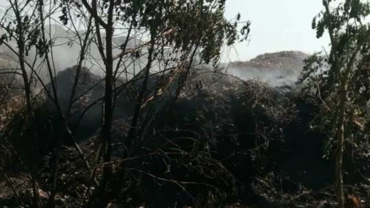 പാലക്കാട് ഇന്ന് രണ്ടിടത്ത് കാട്ടുതീ, വേനൽ കടുക്കുമ്പോൾ ആശങ്കയിൽ നാട്ടുകാർ പാലക്കാട് ഇന്ന് രണ്ടിടത്ത് കാട്ടുതീ, വേനൽ കടുക്കുമ്പോൾ ആശങ്കയിൽ നാട്ടുകാർ