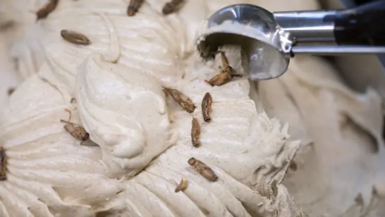 'വിട്ടില്‍ ഐസ്ക്രീം'; പുത്തന്‍ പരീക്ഷണവുമായി ജര്‍മ്മന്‍ ബേക്കറി