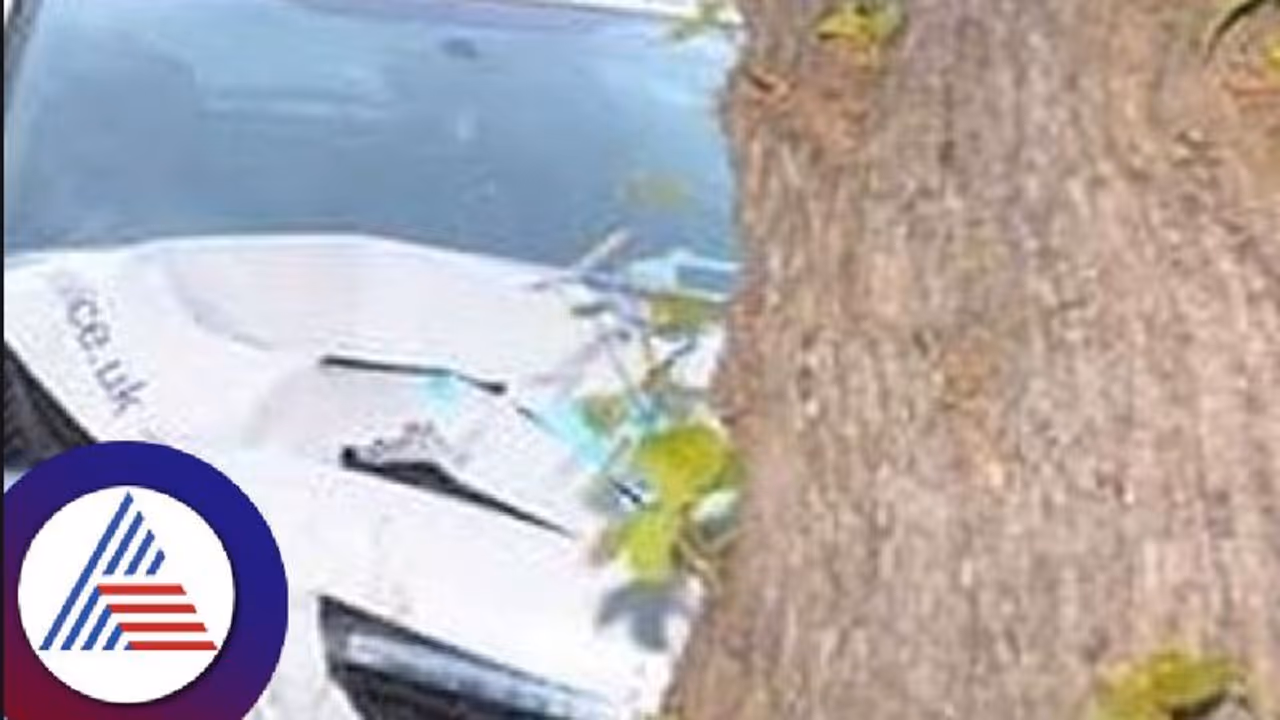 ಬೆಂಗಳೂರು: ತಿರುಪತಿ ದರ್ಶನ ಮಾಡಿ ಮರಳಿ ಬರುವಾಗ ಮರಕ್ಕೆ ಡಿಕ್ಕಿ: ಇಬ್ಬರು ಸಾವು