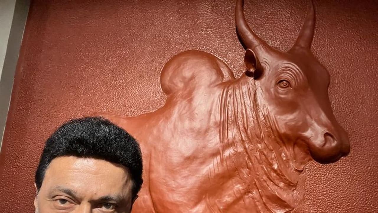 அகழாய்வில் தோண்ட தோண்ட புதையல்கள்; கீழடி அருங்காட்சியகத்தை திறந்து வைத்து முதல்வர் பெருமிதம்