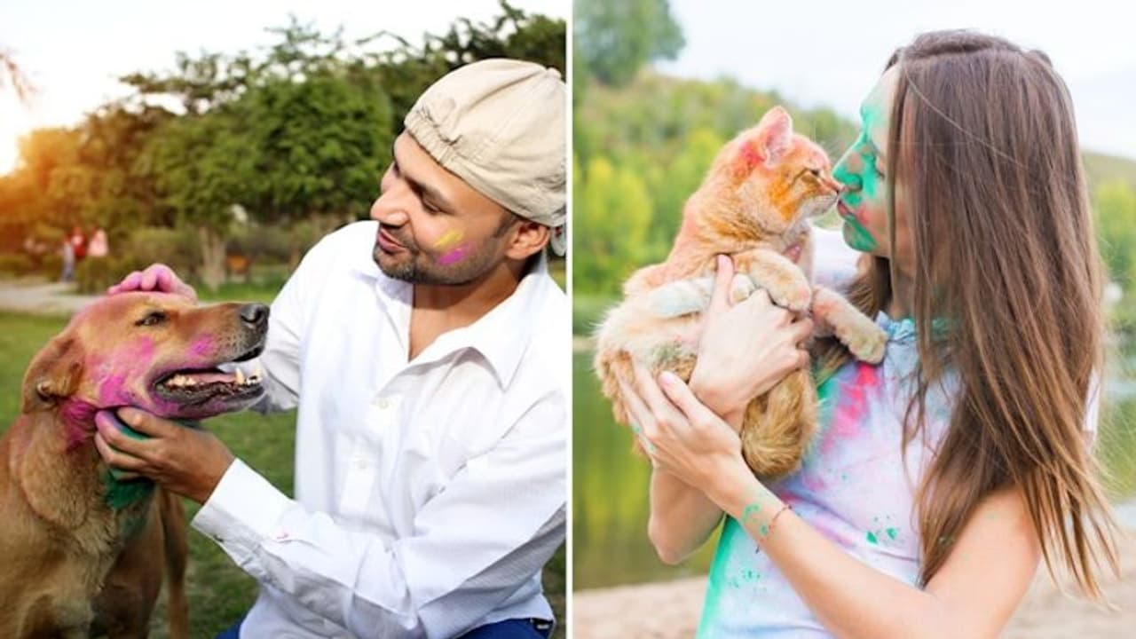 Holi 2023: Know safe ways to celebrate festival of colors with your furry friends Holi 2023: Know safe ways to celebrate festival of colors with your furry friends