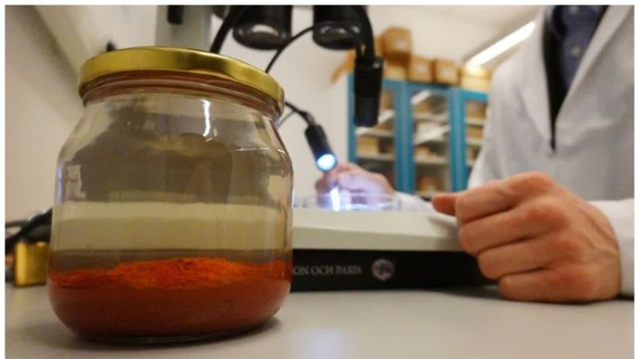 ബാള്ട്ടിക്ക് കടലില് 525 വര്ഷം മുമ്പ് നടന്ന കപ്പല് ഛേദത്തില് നഷ്ടമായ കുരുമുളകും ഇഞ്ചിയും കണ്ടെത്തി ബാള്ട്ടിക്ക് കടലില് 525 വര്ഷം മുമ്പ് നടന്ന കപ്പല് ഛേദത്തില് നഷ്ടമായ കുരുമുളകും ഇഞ്ചിയും കണ്ടെത്തി