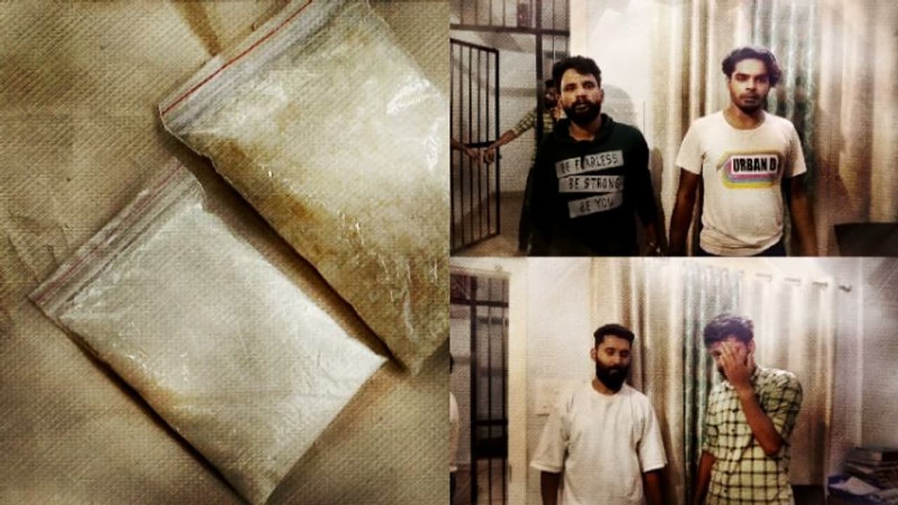 തൊടുപുഴയിൽ പിടിമുറുക്കി ലഹരി മാഫിയ: രണ്ടിടത്ത് നിന്നായി എംഡിഎംഎയും കഞ്ചാവും പിടികൂടി തൊടുപുഴയിൽ പിടിമുറുക്കി ലഹരി മാഫിയ: രണ്ടിടത്ത് നിന്നായി എംഡിഎംഎയും കഞ്ചാവും പിടികൂടി